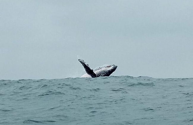 Hermosa vista al Mar y a la Montaña I Cabañas Cochapunko - Foto 23