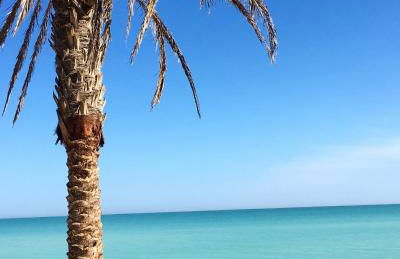 BEACH & SUN MONCOFA - Foto 42