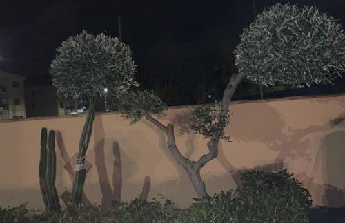 Appartamenti Siculiana - Foto 18