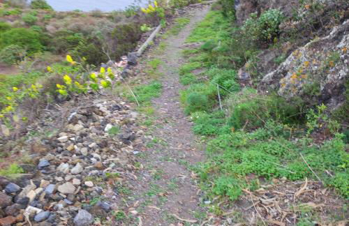 Finca Horizonte Azul - Foto 12