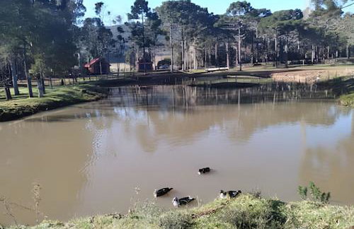 Cabana Pequeno Bosque som dás Águas - Foto 63