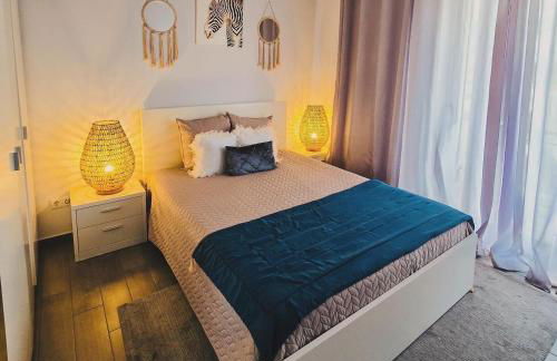 Welcome Pico - Photo 16