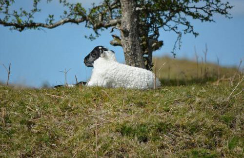White Hart Cottage, Menheniot, Nr Looe - Foto 37