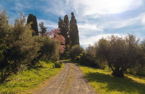 Bolgheri Countryhouse - Foto 63