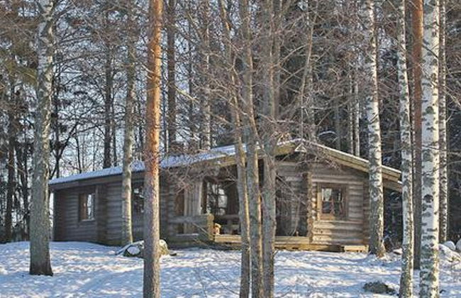 Mäntyniemi - Foto 18