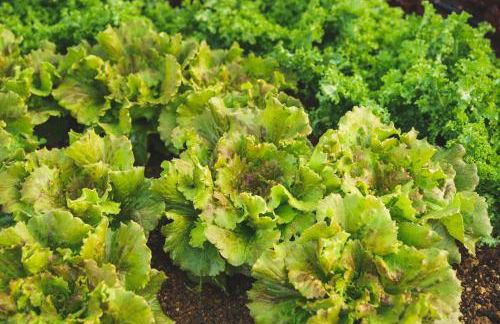 Casa rural Mas del Serranet - Foto 22