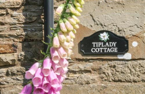 Tiplady Cottage - Foto 5