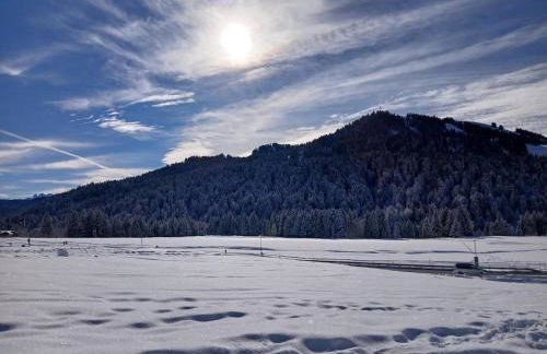 Ferienhof Steurer - Photo 34