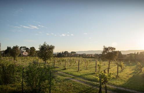 Agriturismo Sasso Rosso - Foto 104