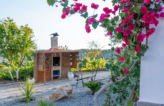 To Stolidi tis Psinthou - Foto 19