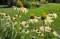 Sjesta al mare, domki z sauną i balią z jacuzzi - Foto 11