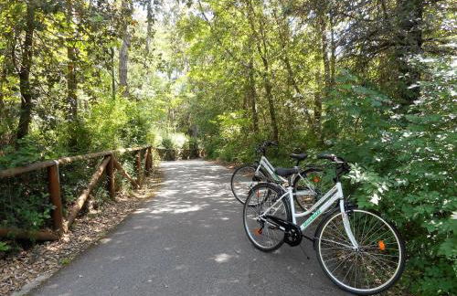 Casa Bianca Village Apartments - Foto 45