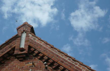 Ferienwohnung zum Breitling in Stove - Foto 7