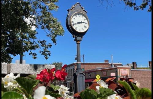 Boston Studio Apartment with Parking, next to Train or Buses, good Neighborhood - Foto 16