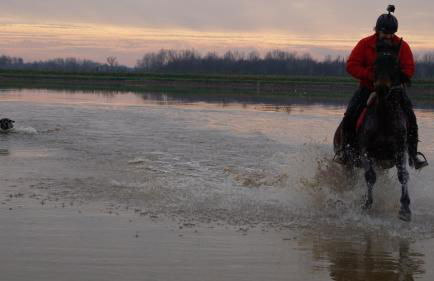 Agriturismo Il Bottaccino - Foto 25