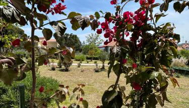 Mari e Monti - Foto 4, Garden, Garden view