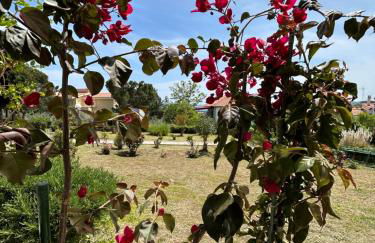 Mari e Monti - Foto 4