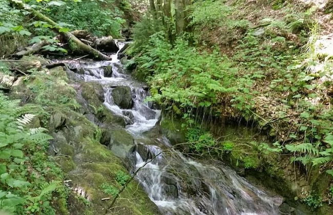 Vakantiehuisje Winterberg - Foto 12