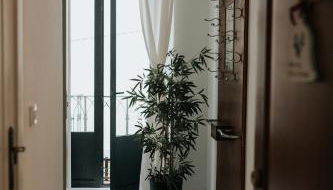 Casa da Catedral Jerónimo - Foto 5, Lobby or reception