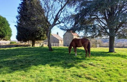 le gite du jardinier - Foto 18