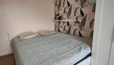 Appartement 3 pièces-près de centre-ville SELESTAT - Foto 5