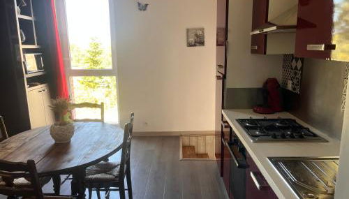 Gîte Appartement à la campagne - Photo 3