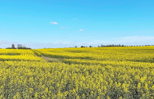 Bright Holiday Home in Vollsjo-by Traum - Foto 3