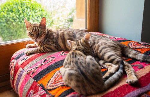 Lavender Farmhouse - Foto 48