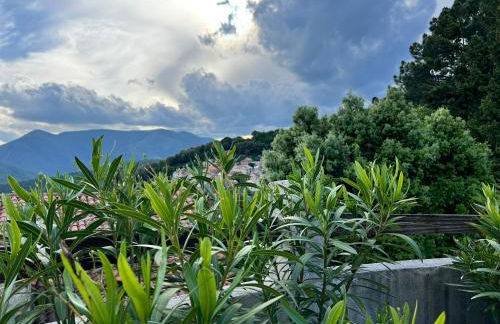 La Lusette-Malaparade - Foto 8