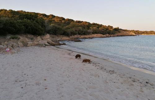 Residenza Moneta - Foto 26