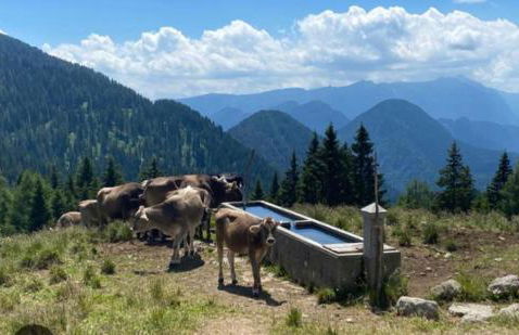 Casa Maria - Foto 18