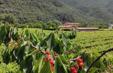 Agriturismo Revena - Foto 39