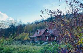 Wzgórze Artystów - Foto 38