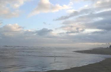 Casa Verde da Ari - Foto 40