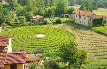 agriturismo il poderetto - Foto 2