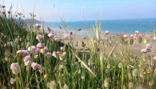 Les Falaises, en plein cœur de Binic - Foto 2