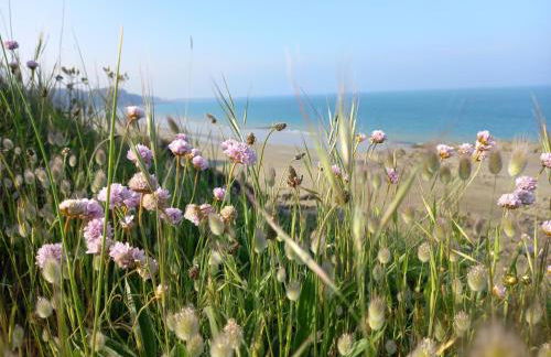 Les Falaises, en plein cœur de Binic - Foto 2