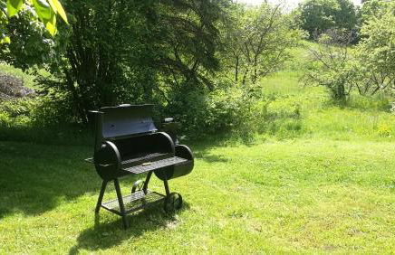 Historisches Ferienhaus "Schwalbennest" mit Eseln - Photo 6