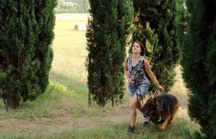 Agriturismo Casa Agricola Rossi Appartamenti in Casentino - Foto 124