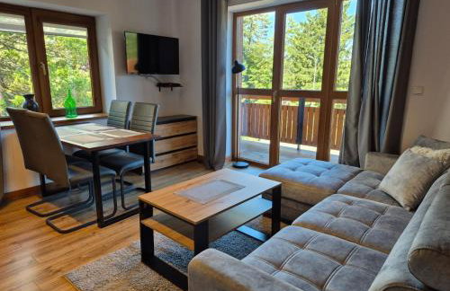 Apartamenty Górski Zakątek Karpacz na Skalnej 46 - Photo 2