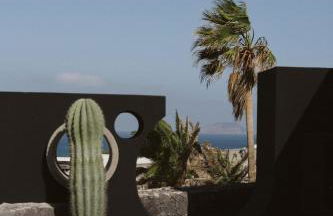 Canaryislandshost I Natural - Foto 33