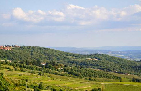 Galletto del Chianti - Foto 13