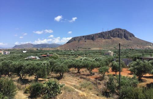 The Olive Garden Apartments - Foto 32