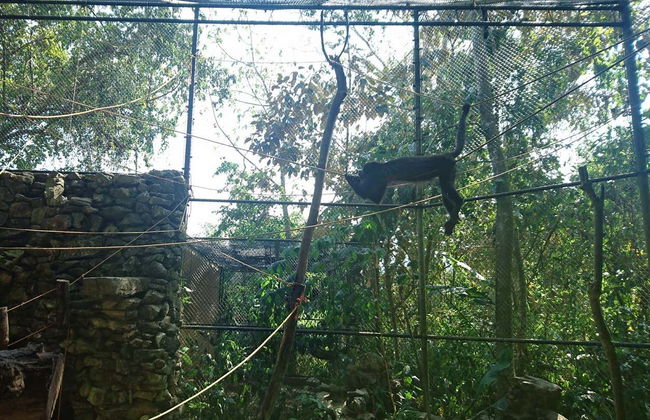 Aluxes Ecopark Trip - Foto 3