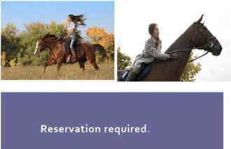 Sol's Place - Photo 29