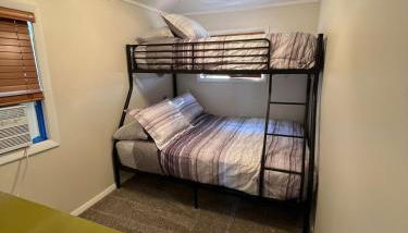 The little blue jay - Foto 4