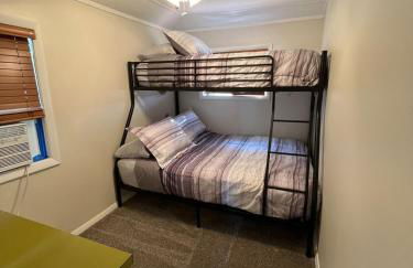 The little blue jay - Foto 4