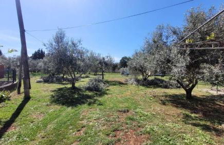 Apartmani Loli - Foto 38