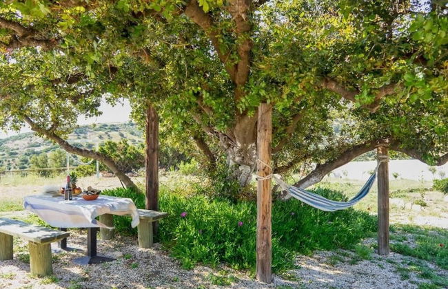 Villa George Sea View With Pool - Triopetra - Photo 33