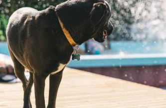 You and the sea - Foto 42